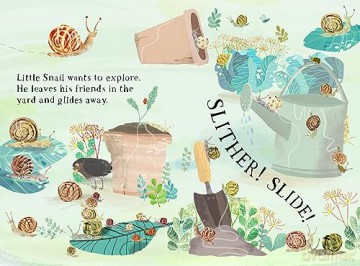 Little Snail's Book of Bugs (Big Book) - Yuval Zommer [KSIĄŻKA]