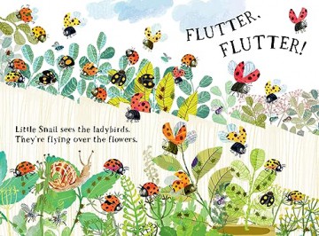 Little Snail's Book of Bugs (Big Book) - Yuval Zommer [KSIĄŻKA]