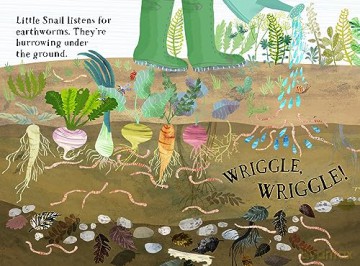 Little Snail's Book of Bugs (Big Book) - Yuval Zommer [KSIĄŻKA]