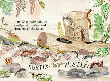 Little Snail's Book of Bugs (Big Book) - Yuval Zommer [KSIĄŻKA]