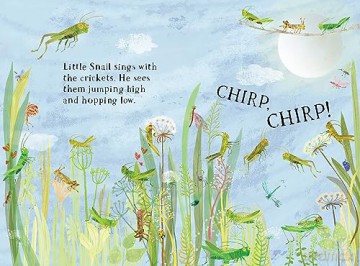 Little Snail's Book of Bugs (Big Book) - Yuval Zommer [KSIĄŻKA]