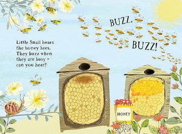 Little Snail's Book of Bugs (Big Book) - Yuval Zommer [KSIĄŻKA]