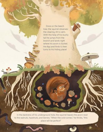 Little Stories from Nature - Altea Villa [KSIĄŻKA]