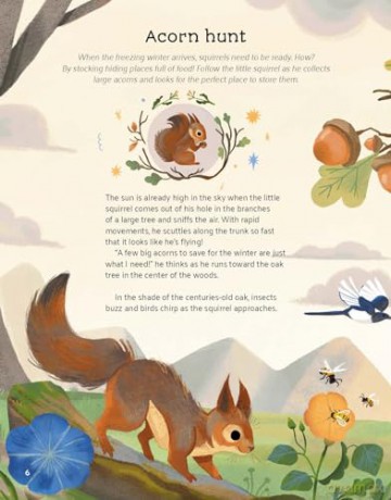 Little Stories from Nature - Altea Villa [KSIĄŻKA]