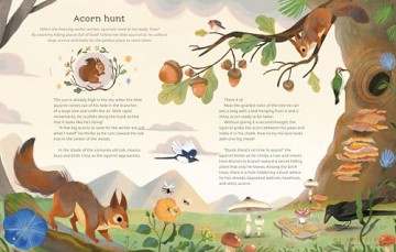 Little Stories from Nature - Altea Villa [KSIĄŻKA]