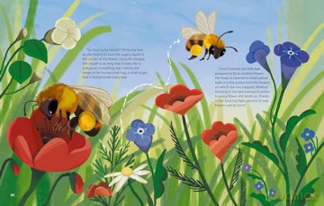 Little Stories from Nature - Altea Villa [KSIĄŻKA]