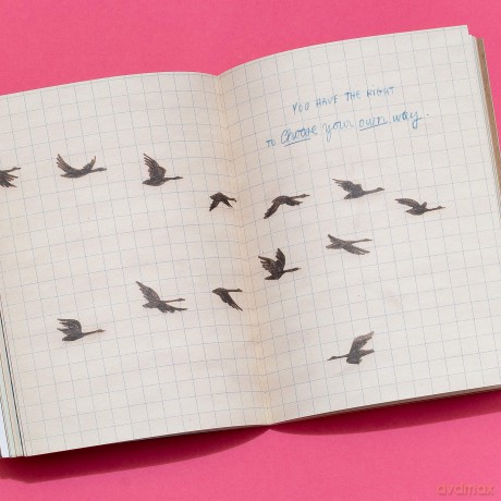 Live Your Own Wild Life: A Journal for Humans: A Journal for Humans With Advice from Animals - Catherine Lepage [KALENDARZ]