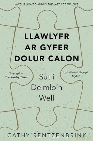 Llawlyfr ar Gyfer Dolur Calon - Cathy Rentzenbrink [KSIĄŻKA]