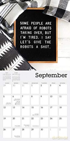 LOL Life on Letterboard 2021 Calendar [KALENDARZ]