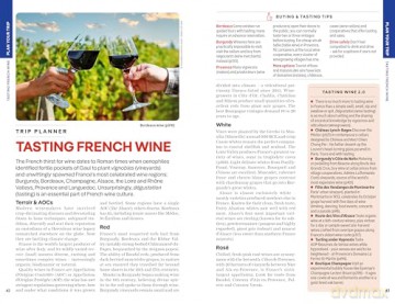 Lonely Planet France (Travel Guide) - Nicola Williams [KSIĄŻKA]