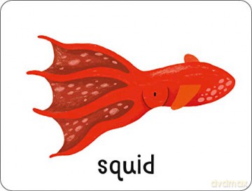 Lots to Spot Animals Flashcards - Learn Words By Playing Quick Games [KSIĄŻKA]