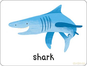 Lots to Spot Animals Flashcards - Learn Words By Playing Quick Games [KSIĄŻKA]