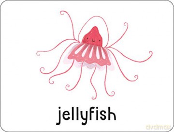 Lots to Spot Animals Flashcards - Learn Words By Playing Quick Games [KSIĄŻKA]