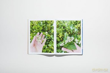 Lotus Laurie Kang: In Cascades (Chisenhale Series) - Zoé Whitley [KSIĄŻKA]