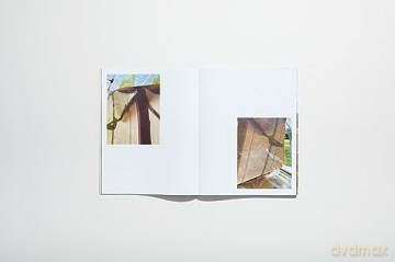 Lotus Laurie Kang: In Cascades (Chisenhale Series) - Zoé Whitley [KSIĄŻKA]