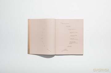 Lotus Laurie Kang: In Cascades (Chisenhale Series) - Zoé Whitley [KSIĄŻKA]