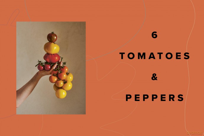 Love Vegetables: Delicious Recipes for Vibrant Meals - Anna Shepherd [KSIĄŻKA]