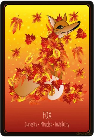 Lovely Animals Oracle - Helena de Almeida [KSIĄŻKA]
