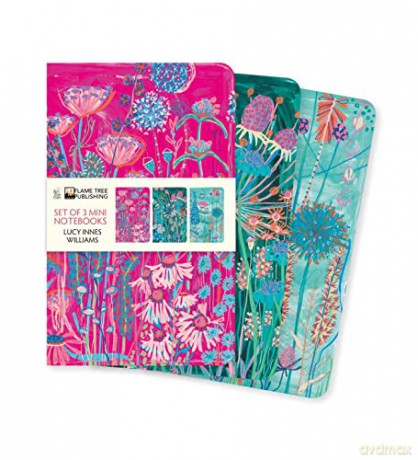 Lucy Innes Williams Set of 3 Mini Notebooks (Mini Notebook Collections) - Flame Tree Studio [KSIĄŻKA]