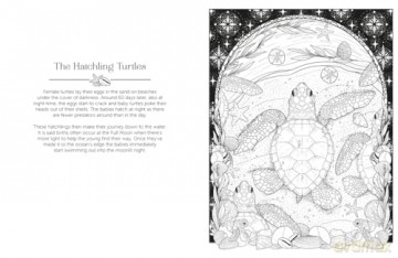 Luna Colouring: Embrace the Magic of the Moon - Stratten Peterson [KSIĄŻKA]