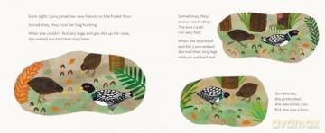 Luna the Loon and Her Marvelous Tune - Chelsea Johnson Fischer [KSIĄŻKA]