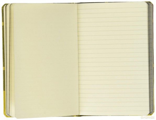 Macleod of Lewis Notebook: Waverley Genuine Scottish Tartan Notebook - Ron Waverley Scotland [KSIĄŻKA]