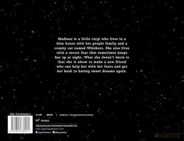 Madison Meets the Moon - Susan Erikson Catucci [KSIĄŻKA]
