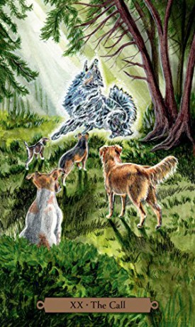 Magical Dogs Tarot - Mickie Mueller [KSIĄŻKA]