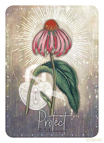 Magickal Herb Oracle: Enchanting Secrets From the Garden (Rockpool Oracle Card) - Cheralyn Darcey [KSIĄŻKA]