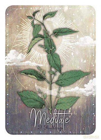 Magickal Herb Oracle: Enchanting Secrets From the Garden (Rockpool Oracle Card) - Cheralyn Darcey [KSIĄŻKA]