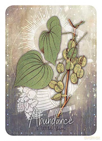 Magickal Herb Oracle: Enchanting Secrets From the Garden (Rockpool Oracle Card) - Cheralyn Darcey [KSIĄŻKA]