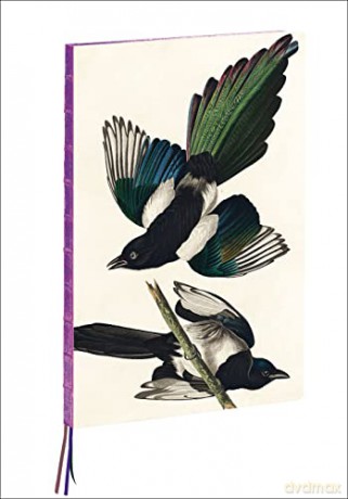 Magpies, James Audubon A4 Notebook - James Audubon [KSIĄŻKA]
