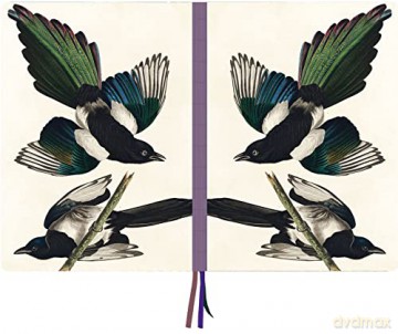 Magpies, James Audubon A4 Notebook - James Audubon [KSIĄŻKA]
