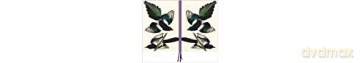 Magpies, James Audubon A4 Notebook - James Audubon [KSIĄŻKA]