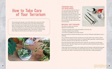 Make Your Own Terrarium Kit: Mini Gardens You Can Create at Home - Includes: Acrylic Vessel, Decorative Pebbles, Moss Stone, Fine Sand, Long-Handled Tweezers, Project Book - Editors of Chartwell Books [KSIĄŻKA]
