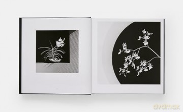 Mapplethorpe Flora: The Complete Flowers - Mark Holborn [KSIĄŻKA]
