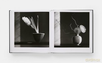 Mapplethorpe Flora: The Complete Flowers - Mark Holborn [KSIĄŻKA]