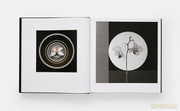 Mapplethorpe Flora: The Complete Flowers - Mark Holborn [KSIĄŻKA]