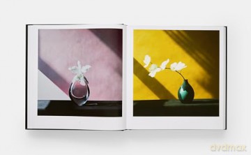Mapplethorpe Flora: The Complete Flowers - Mark Holborn [KSIĄŻKA]