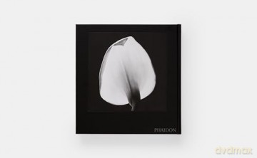 Mapplethorpe Flora: The Complete Flowers - Mark Holborn [KSIĄŻKA]