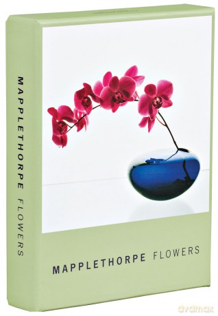 Mapplethorpe Flowers Notecard Box (Notecard Boxes) - The Robert Mapplethorpe Foundation [KALENDARZ]