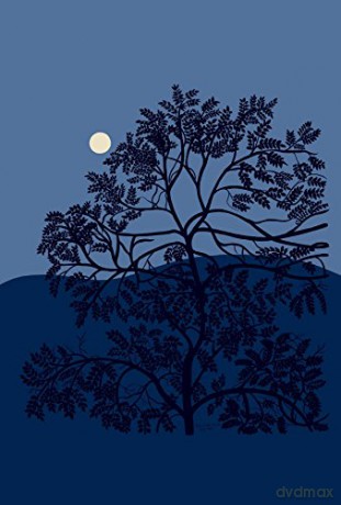 Marimekko: 100 Postcards - Dorothy Abbe [KALENDARZ]