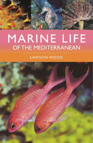Marine Life of the Mediterranean - Lawson Wood [KSIĄŻKA]
