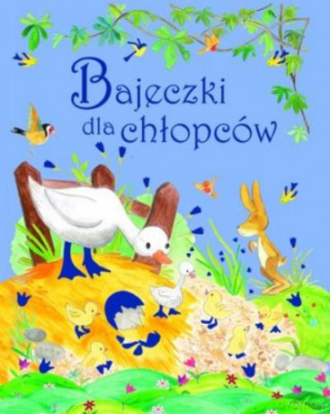 Bajeczki Dla Chłopców [KSIĄŻKA]