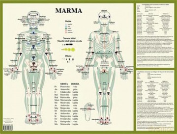Marma - Jan van Baarle [KSIĄŻKA]