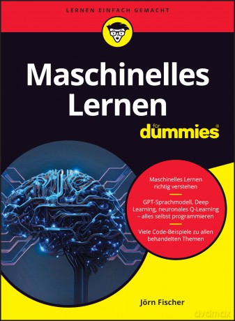 Maschinelles Lernen für Dummies - Jörn Fischer [KSIĄŻKA]