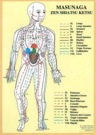 Masunaga Zen Shiatsu Ketsu - Jan van Baarle [KSIĄŻKA]