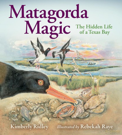 Matagorda Magic: The Hidden Life of a Texas Bay [KSIĄŻKA]