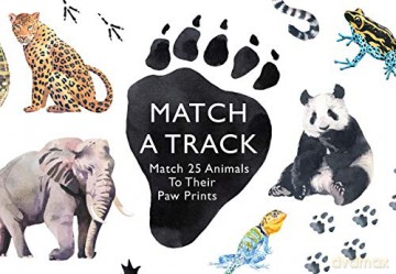 Match a Track: Match 25 Animals to Their Paw Prints (Magma for Laurence King) - Marcel George [KSIĄŻKA]