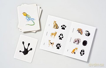 Match a Track: Match 25 Animals to Their Paw Prints (Magma for Laurence King) - Marcel George [KSIĄŻKA]